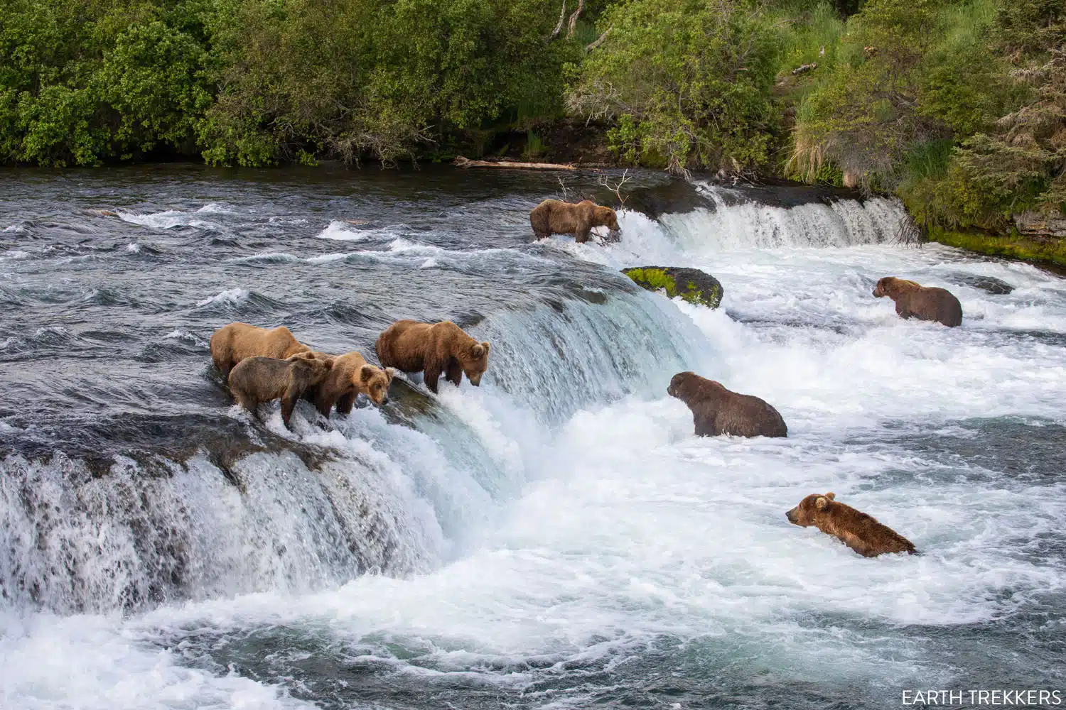 Brooks Falls Katmai National Park