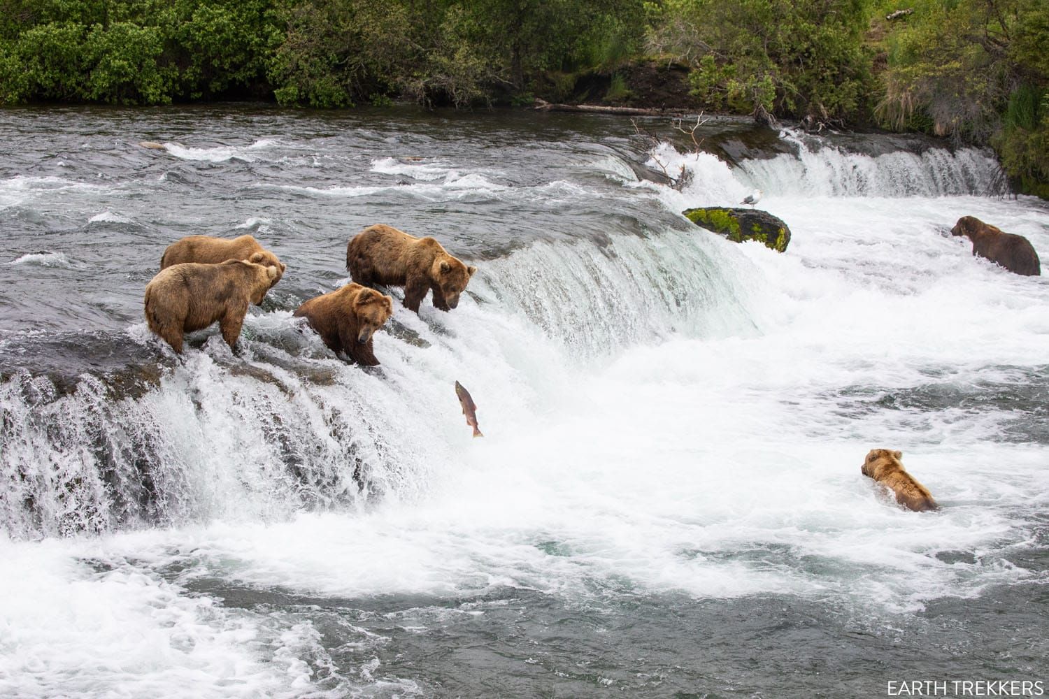 Brooks Falls Katmai