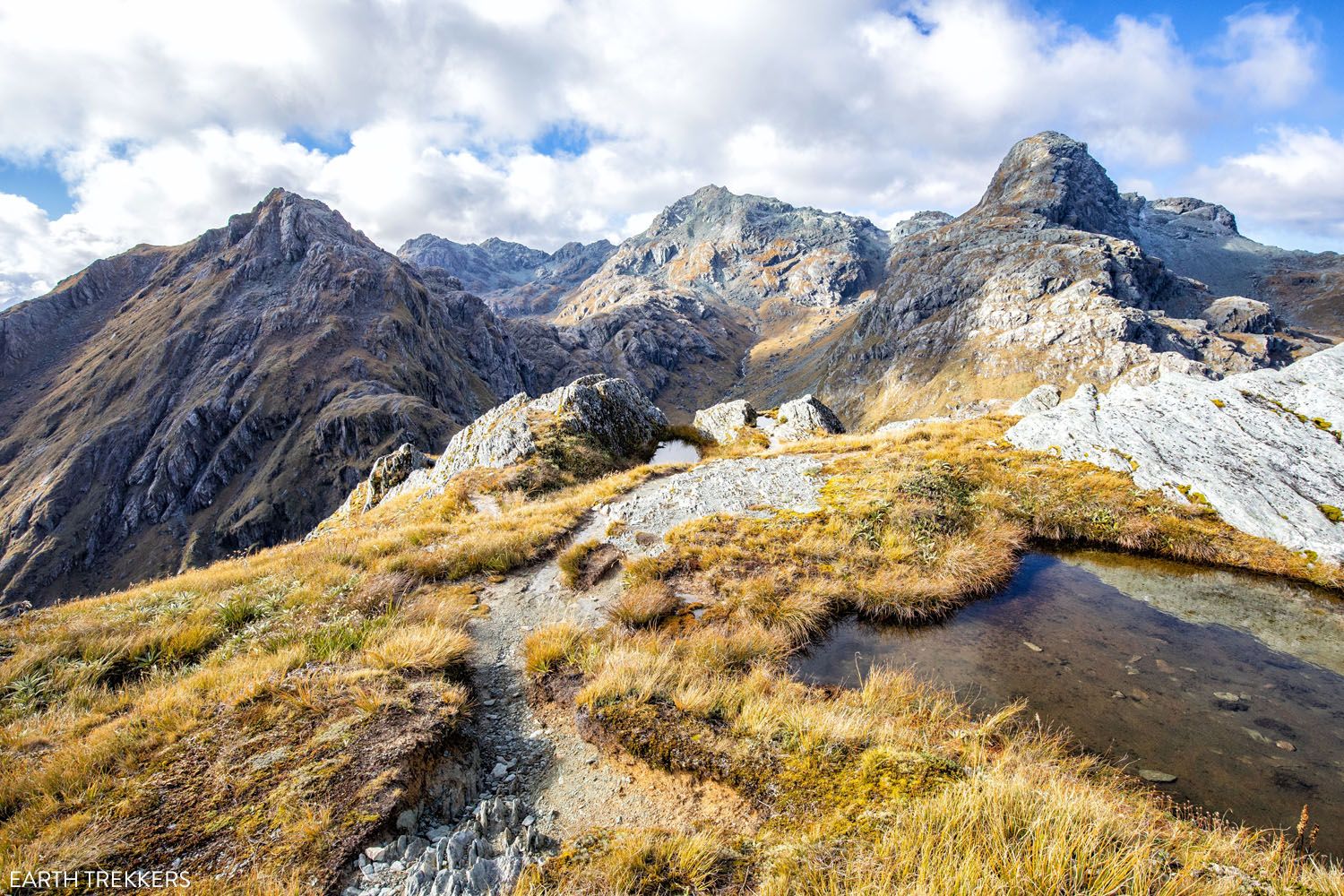 Conical Hill New Zealand