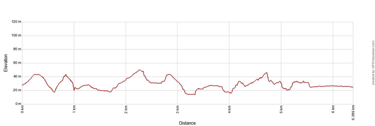 Coogee to Bondi Elevation Profile