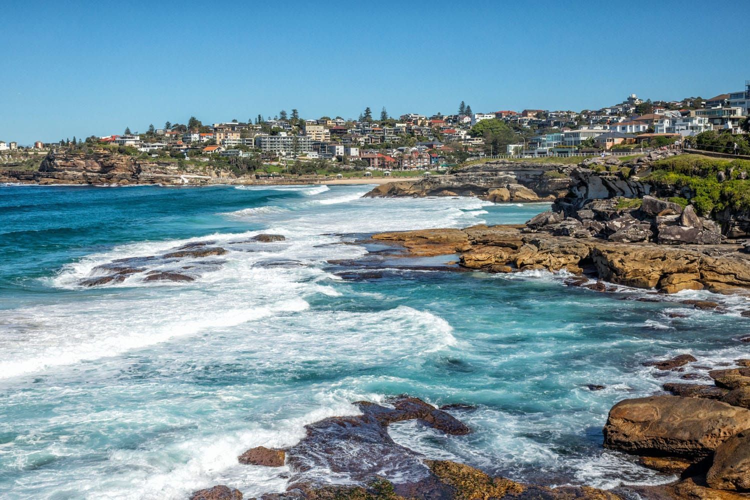 Coogee to Bondi Walk