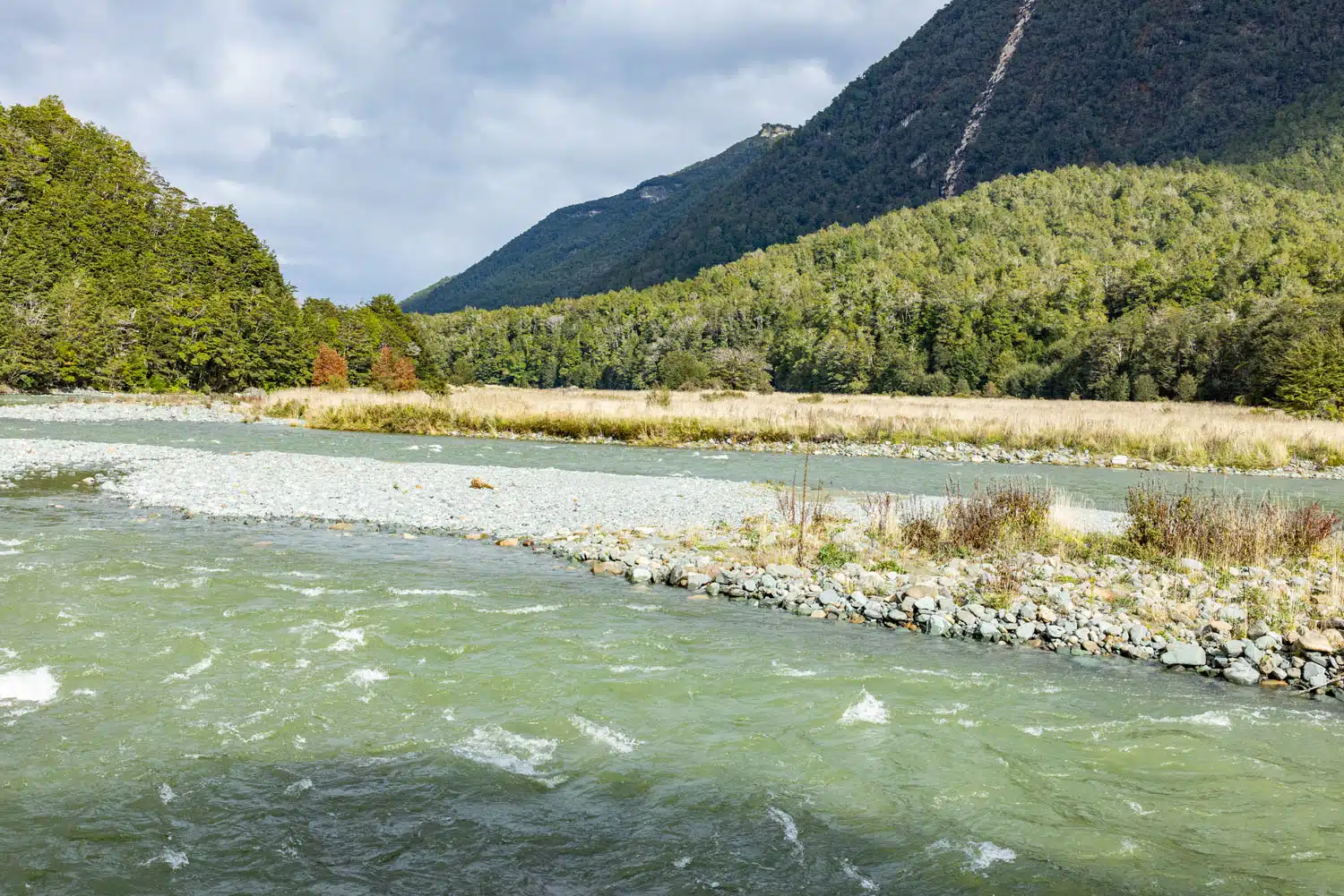 Eglinton Valley | Milford Sound Day Trip