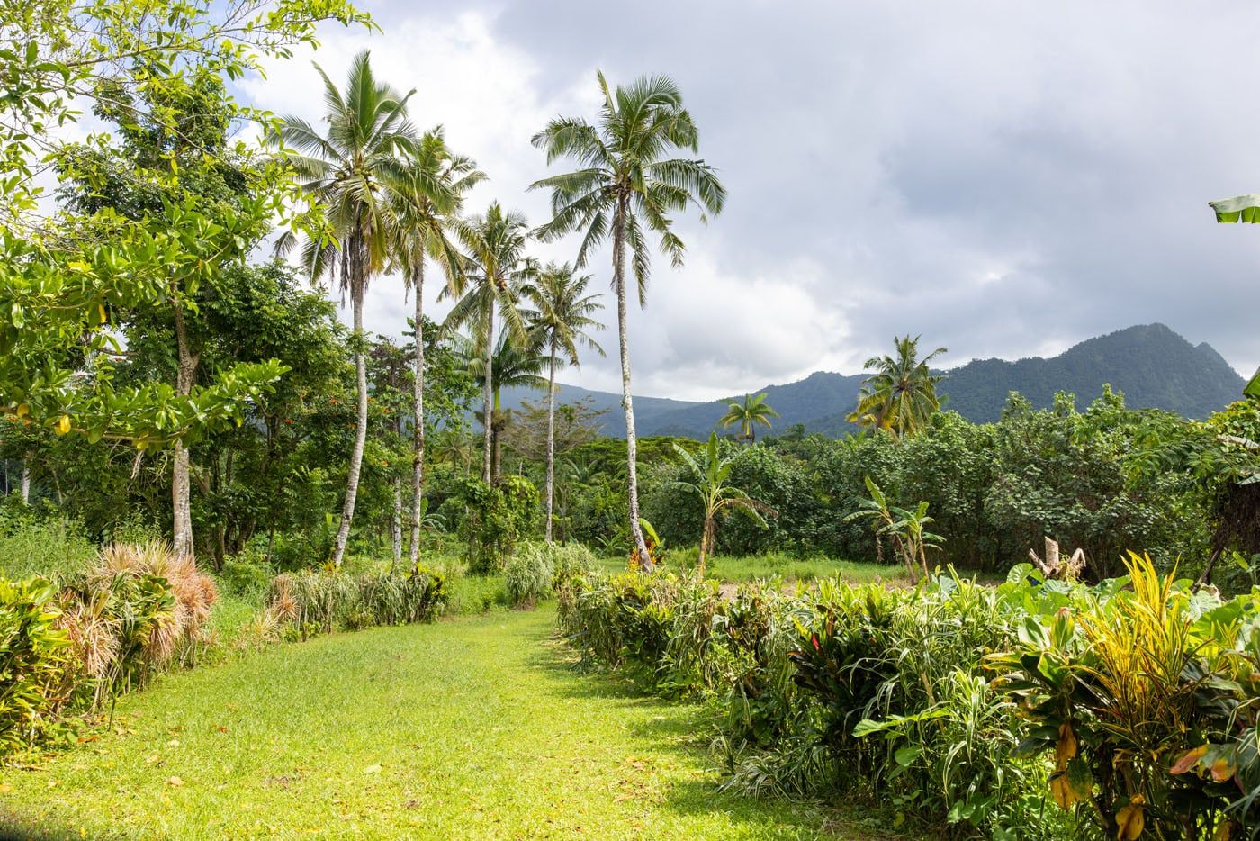 Fuipisia Waterfall Trail | Best Things to Do in Samoa