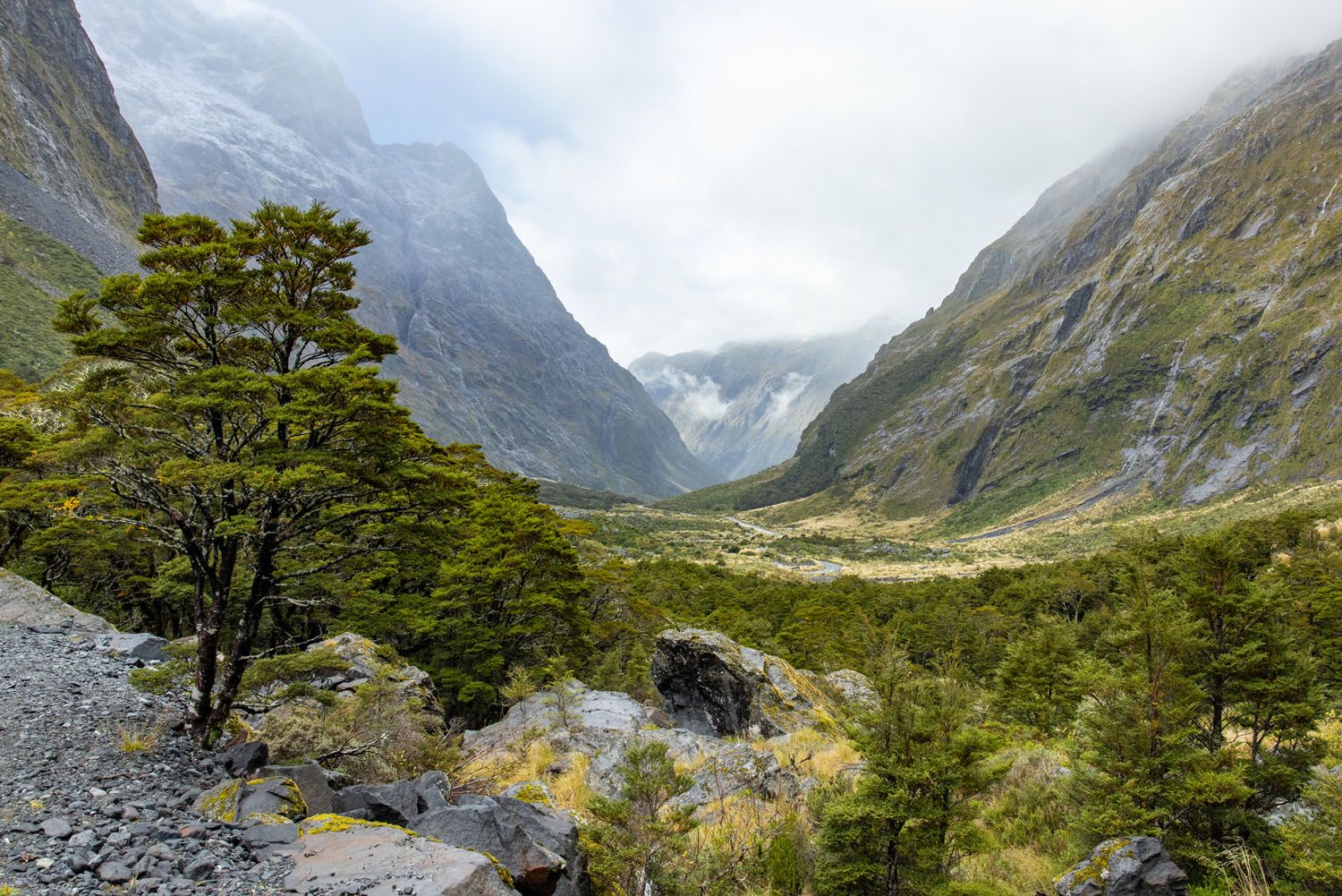 Gertrude Valley Lookout