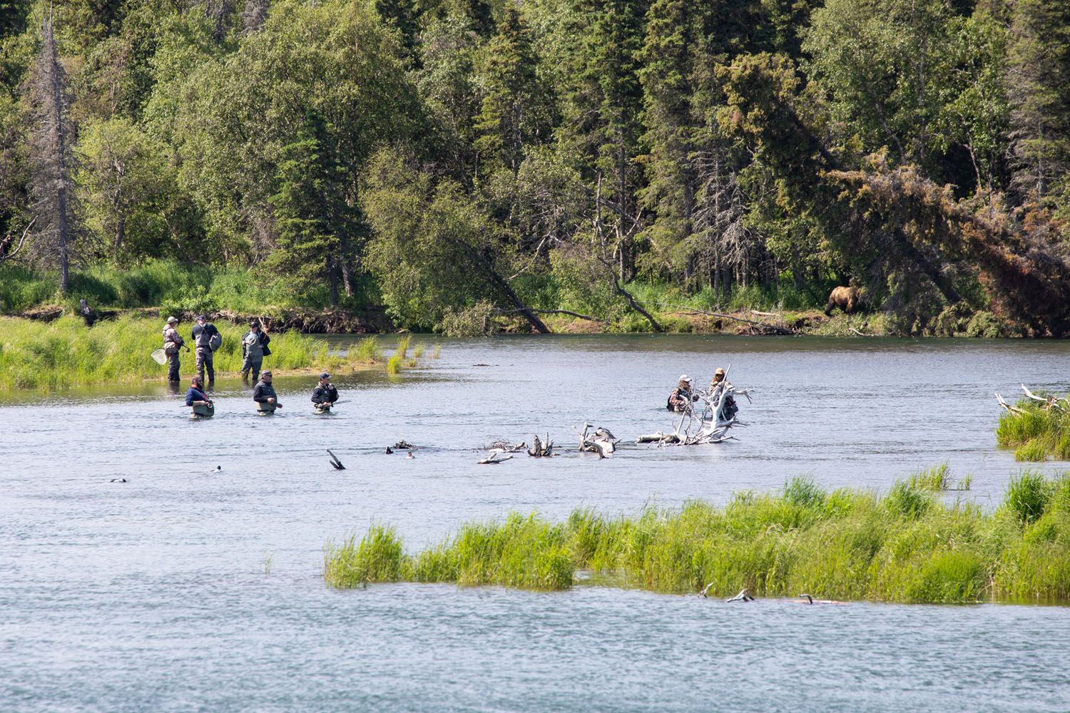 Katmai Fishing