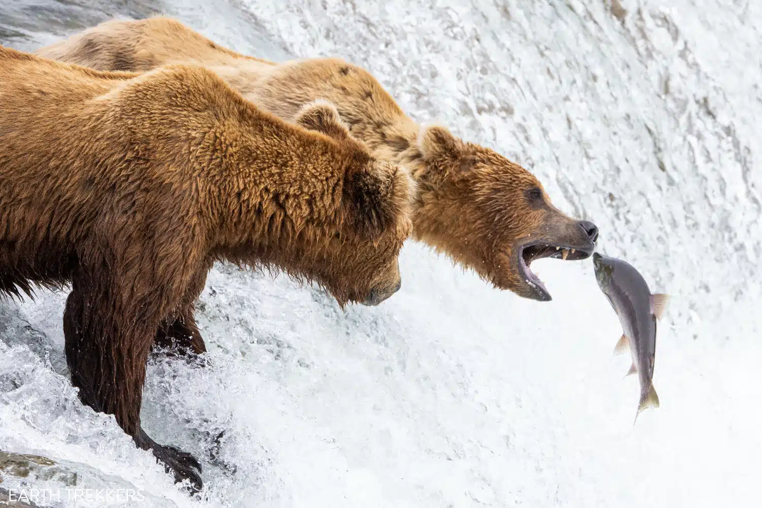 Katmai National Park