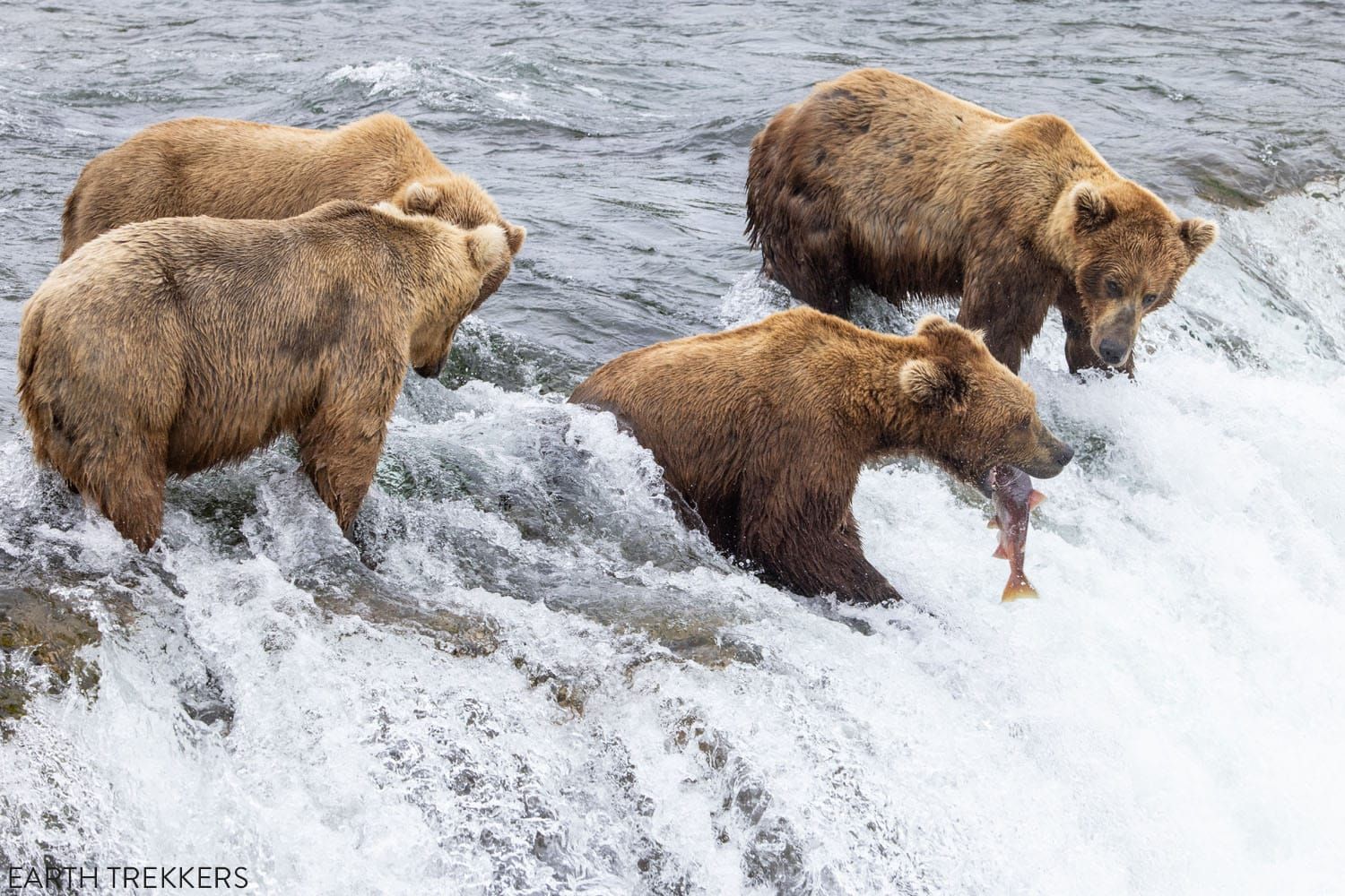 Katmai National Park