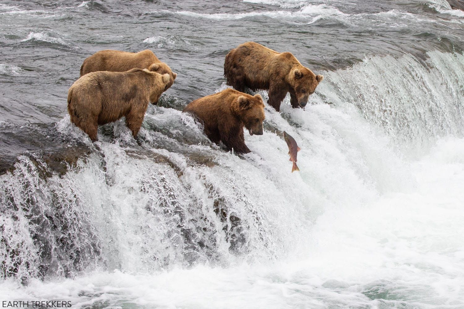 Katmai National Park Brooks Falls