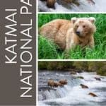 Katmai National Park Travel Guide