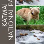 Katmai National Park Travel Guide