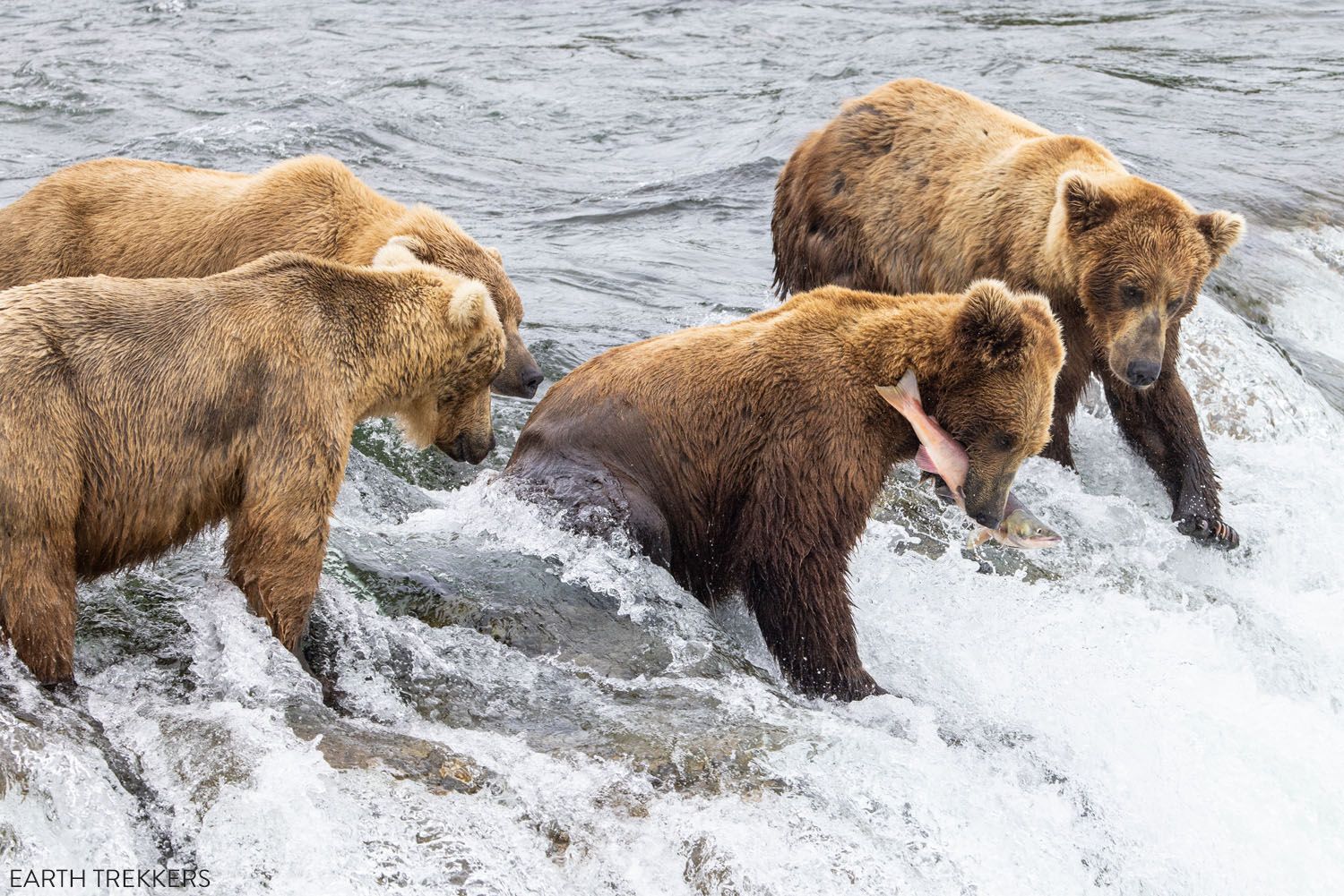 Katmai National Park