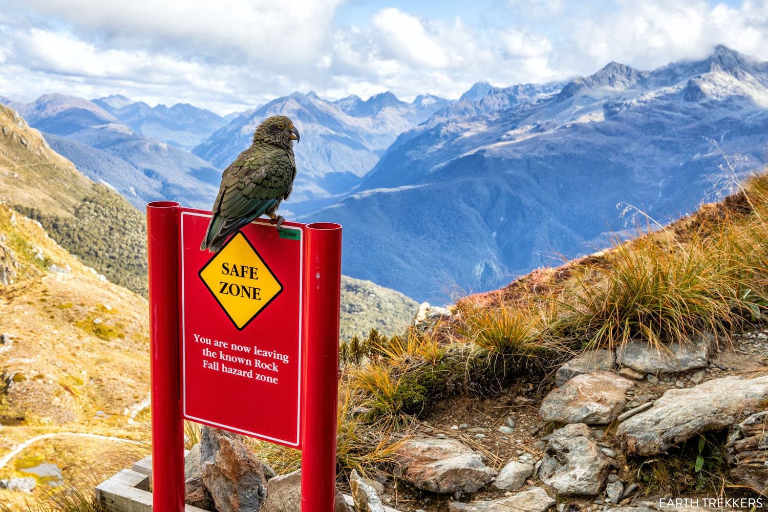 Kea New Zealand