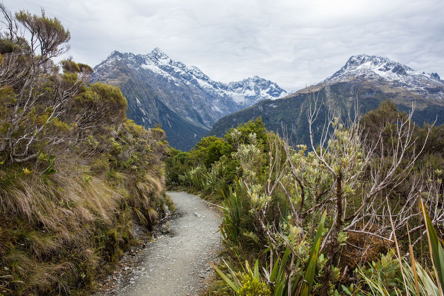 Key Summit Hike Trail | Milford Sound Day Trip