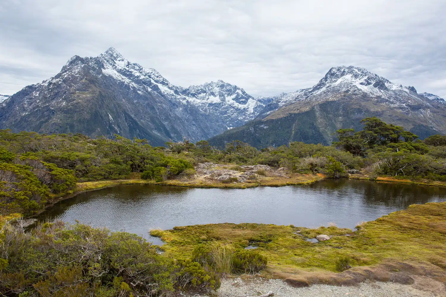 Key Summit Hike | Milford Sound Day Trip