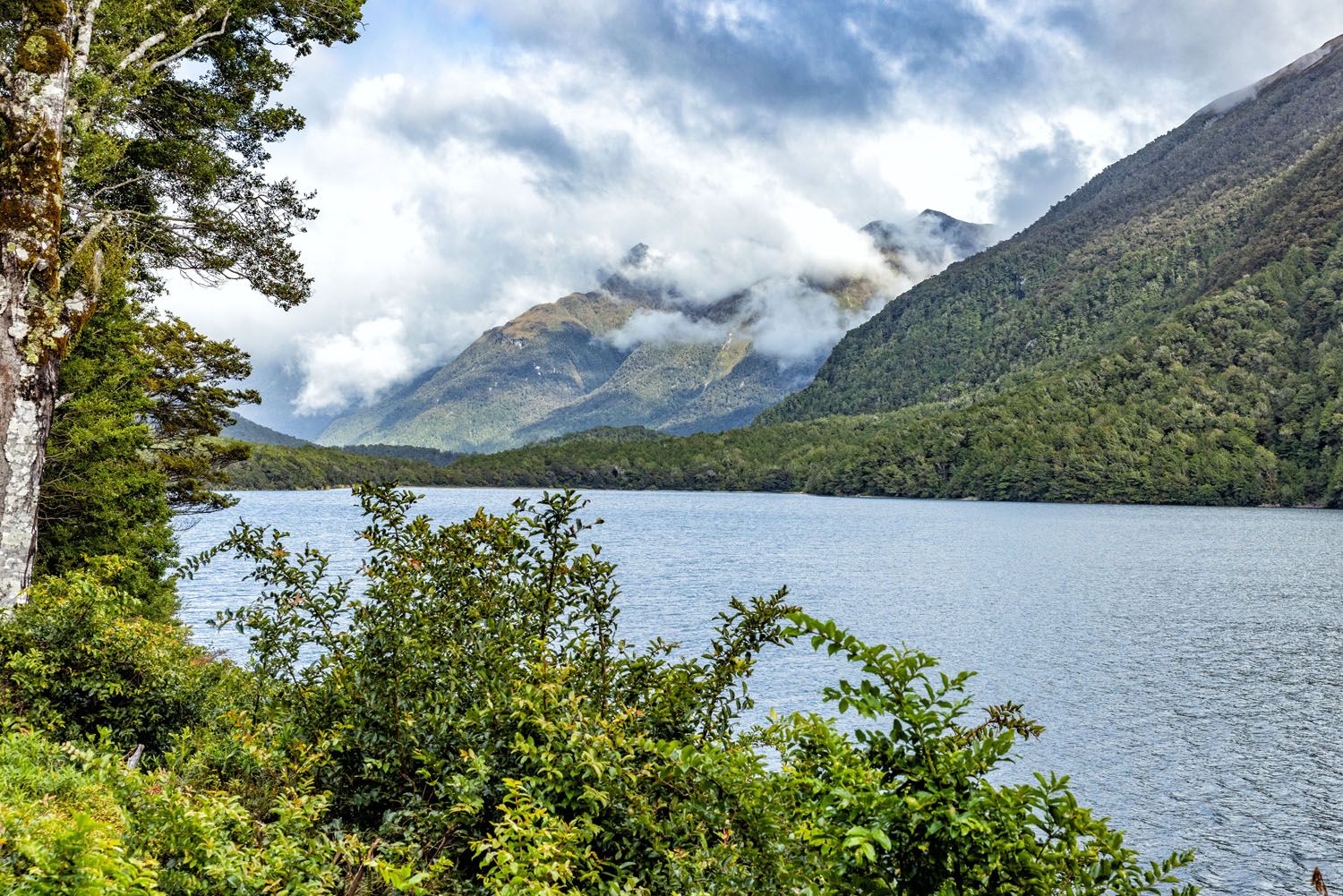 Lake Gunn New Zealand | Milford Sound Day Trip