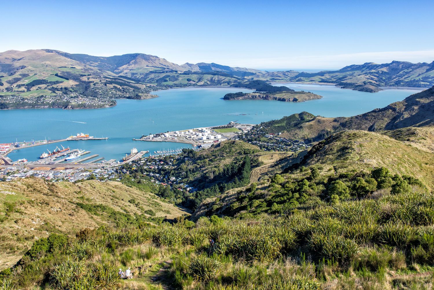 Lyttelton Harbour | Best Things to Do in Akaroa