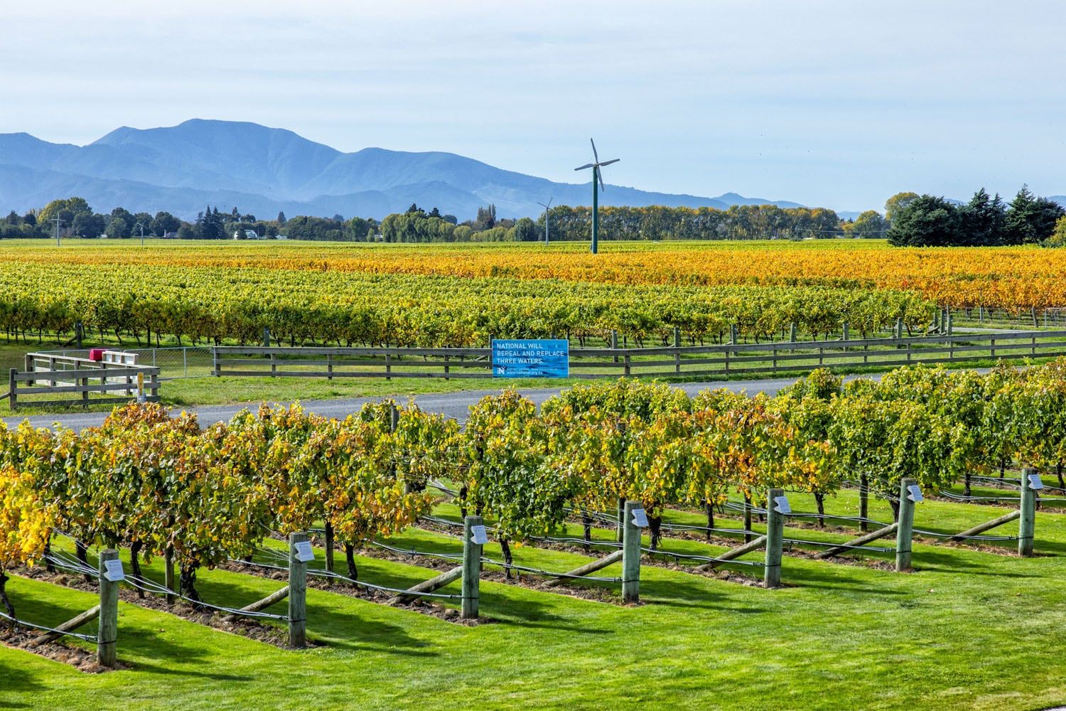 Marlborough New Zealand