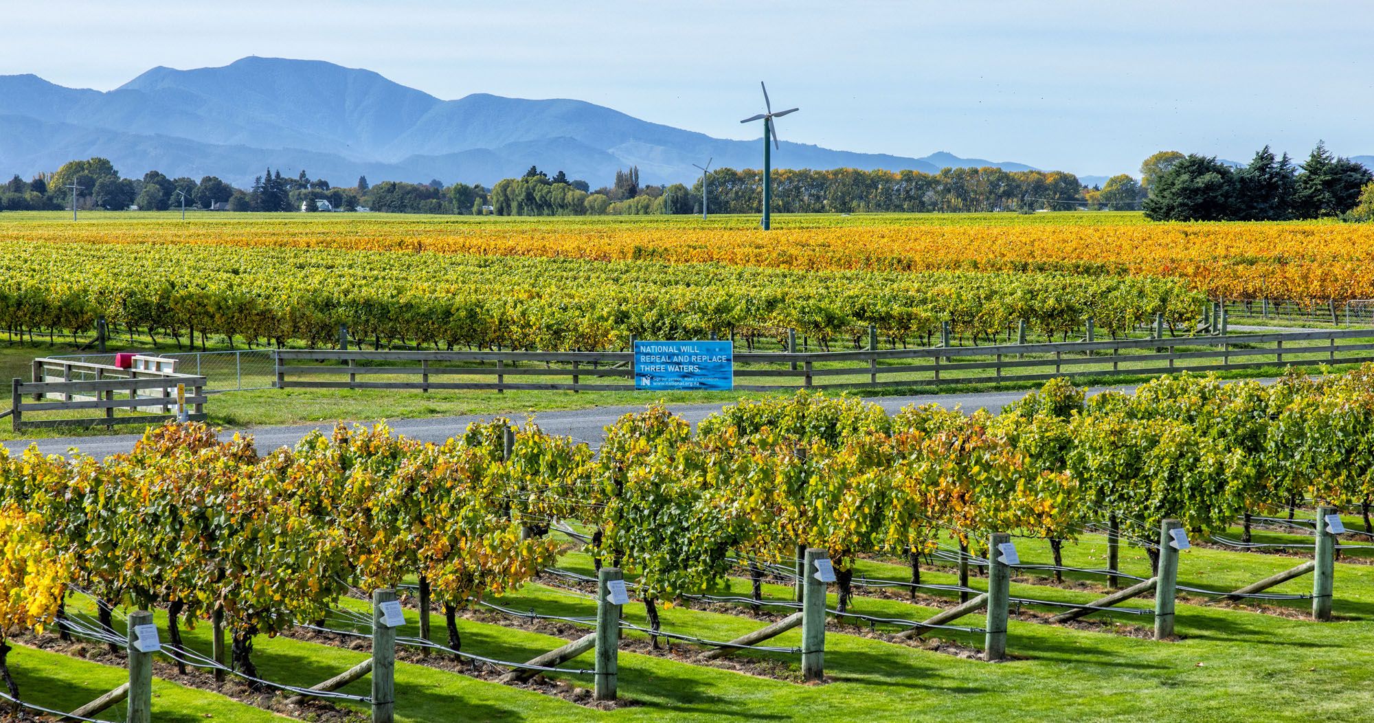 Featured image for “Wine Tasting in Marlborough, New Zealand: Best Vineyards & Tours”