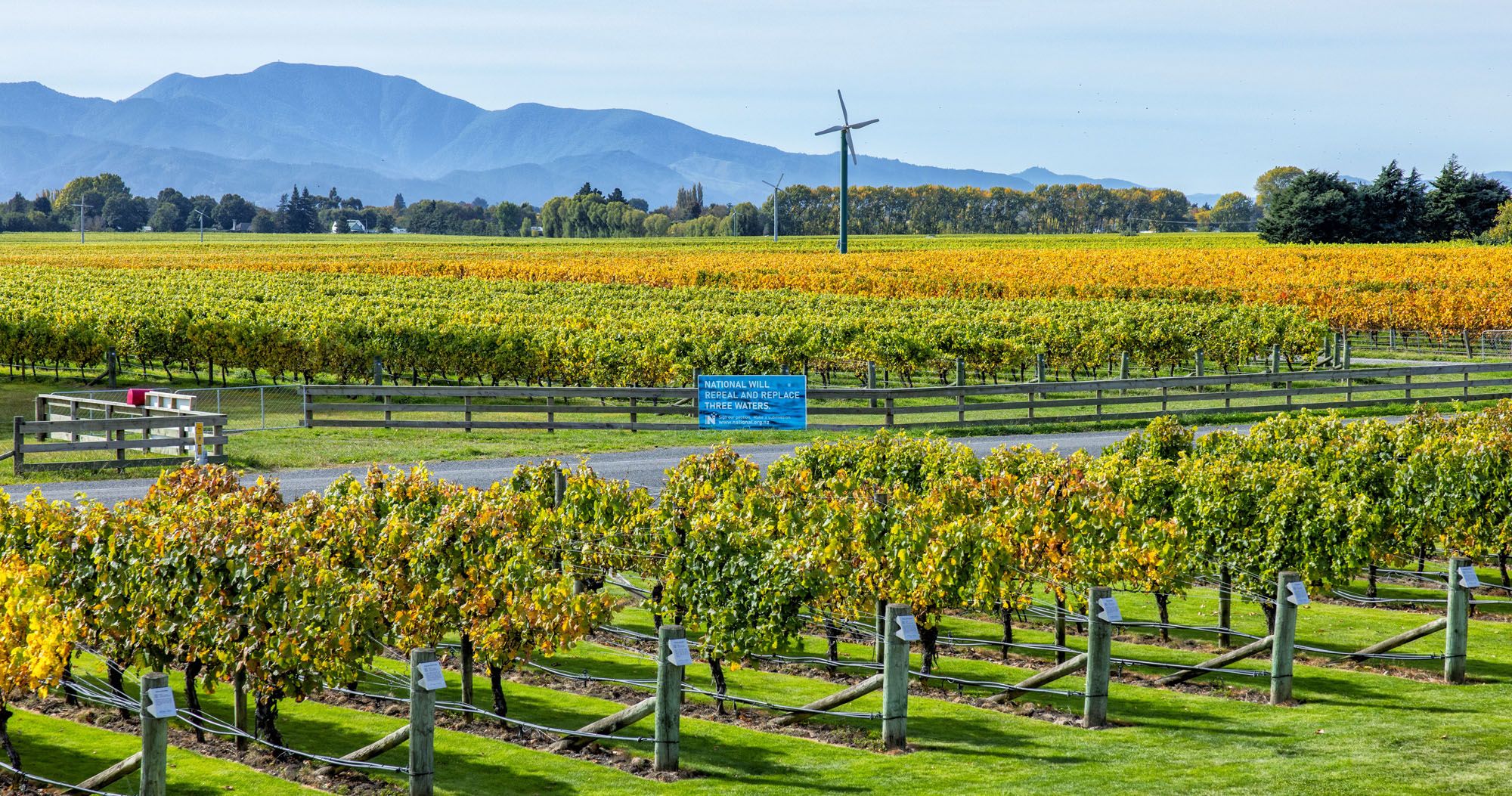 Marlborough Wine Tasting