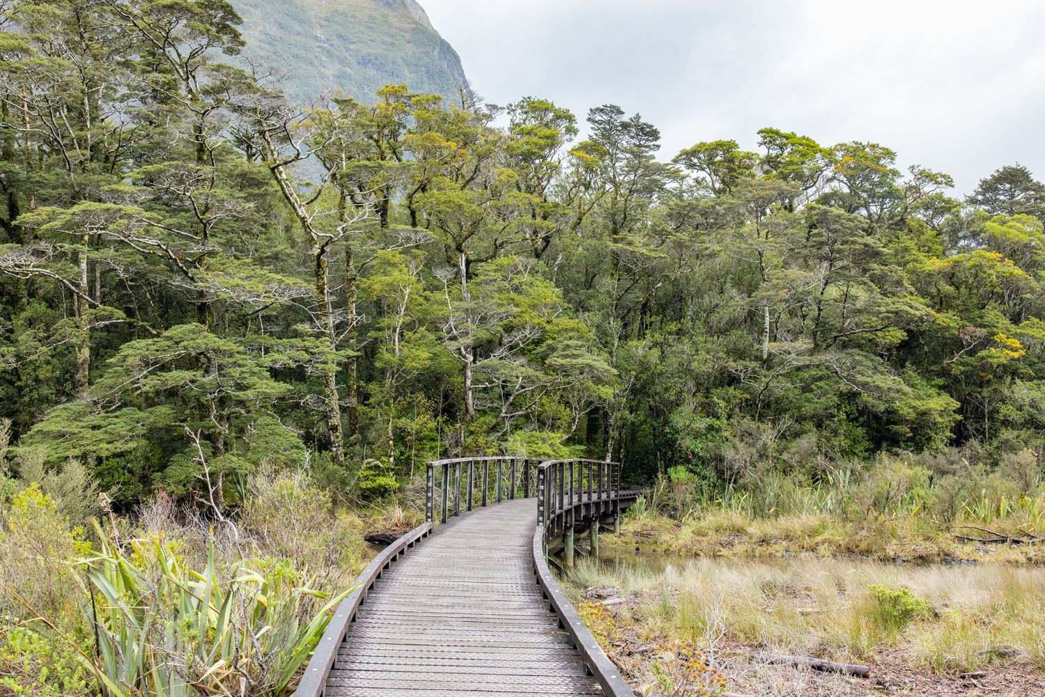 Milford Foreshore Walk