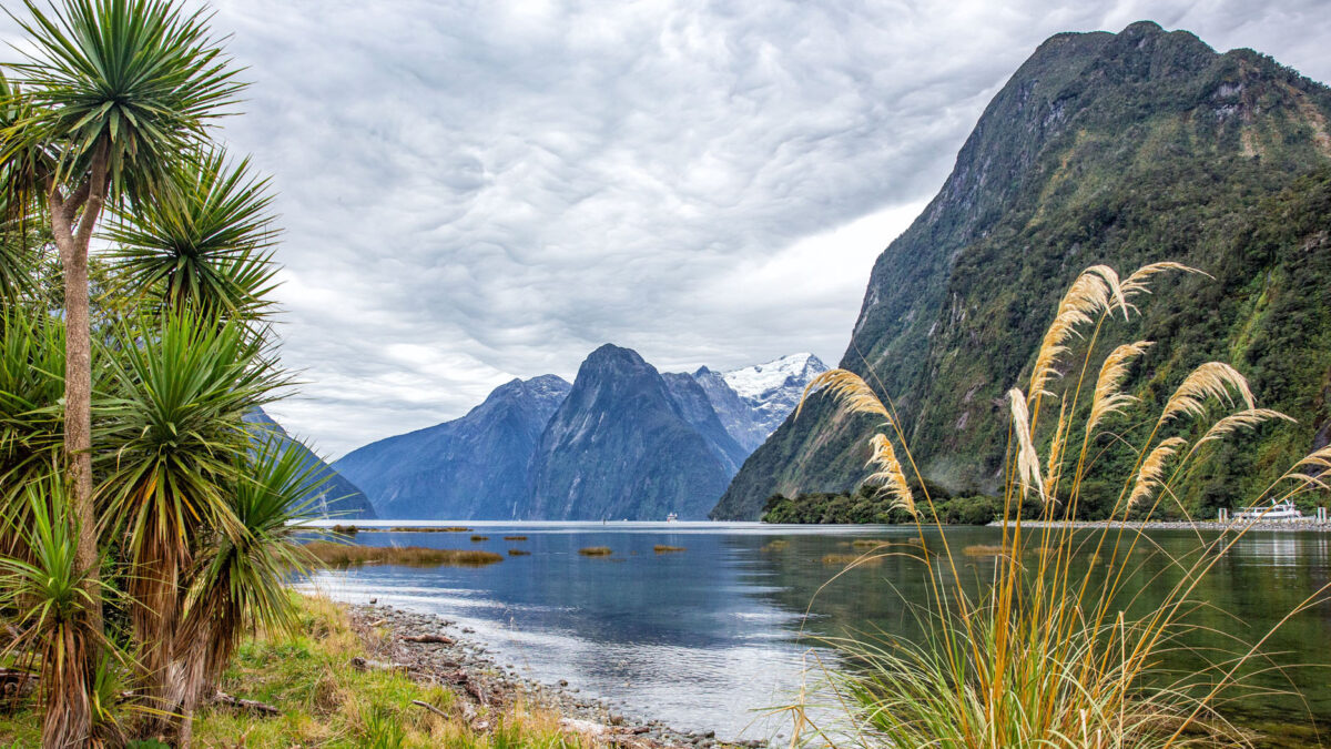 Milford-Sound-1200x675.jpg