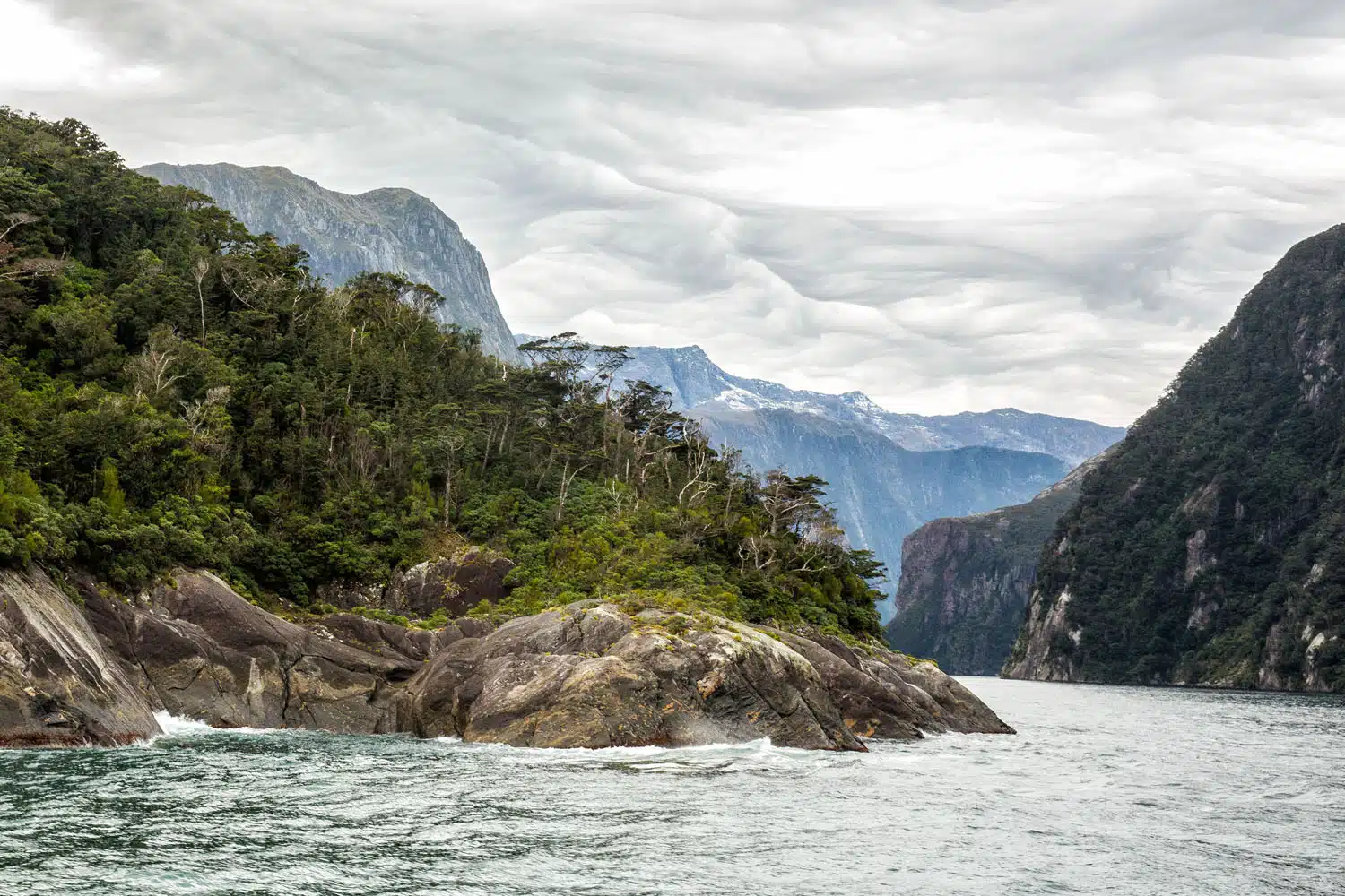 Milford Sound Cruise