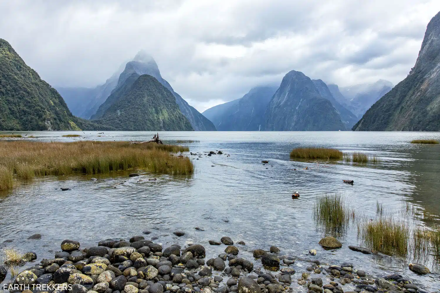 Milford Sound Lookout | Milford Sound Day Trip