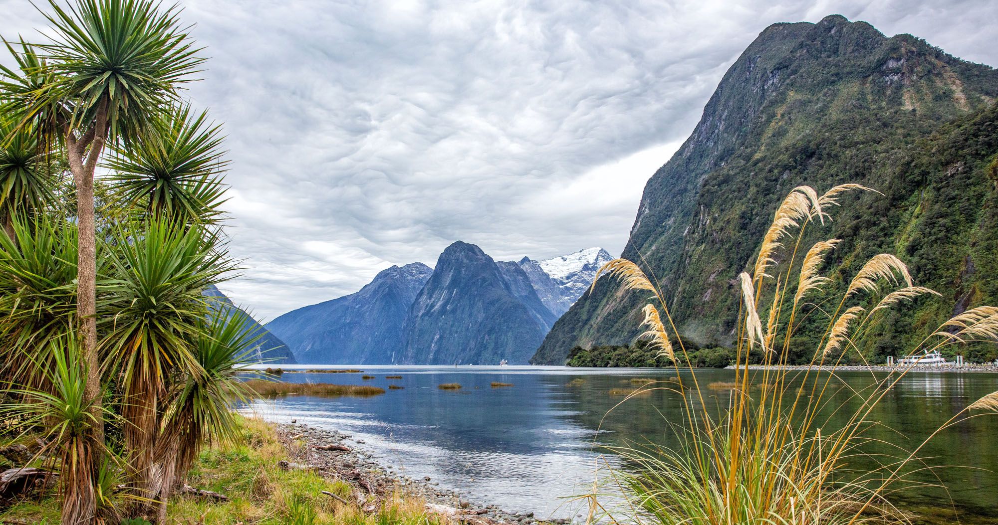 Featured image for “Milford Sound: Day Trip Options, Key Summit Hike & HELPFUL Tips”