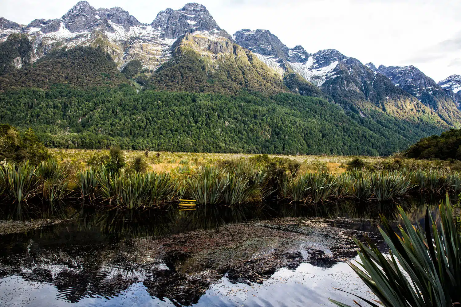 Mirror Lakes Milford Sound | Milford Sound Day Trip