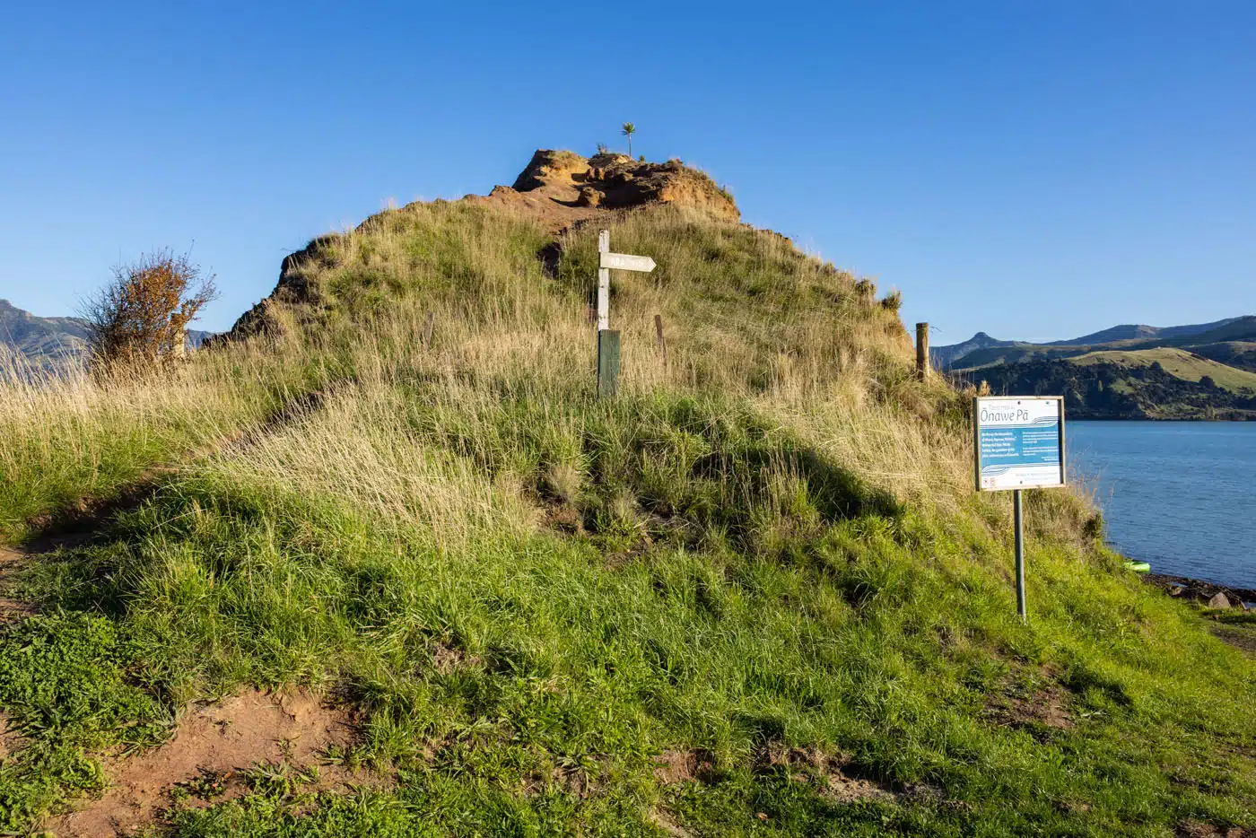 Onawe Peninsula Trail
