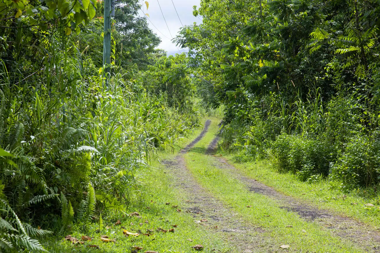 Road to Lava Field Coastal Walkway