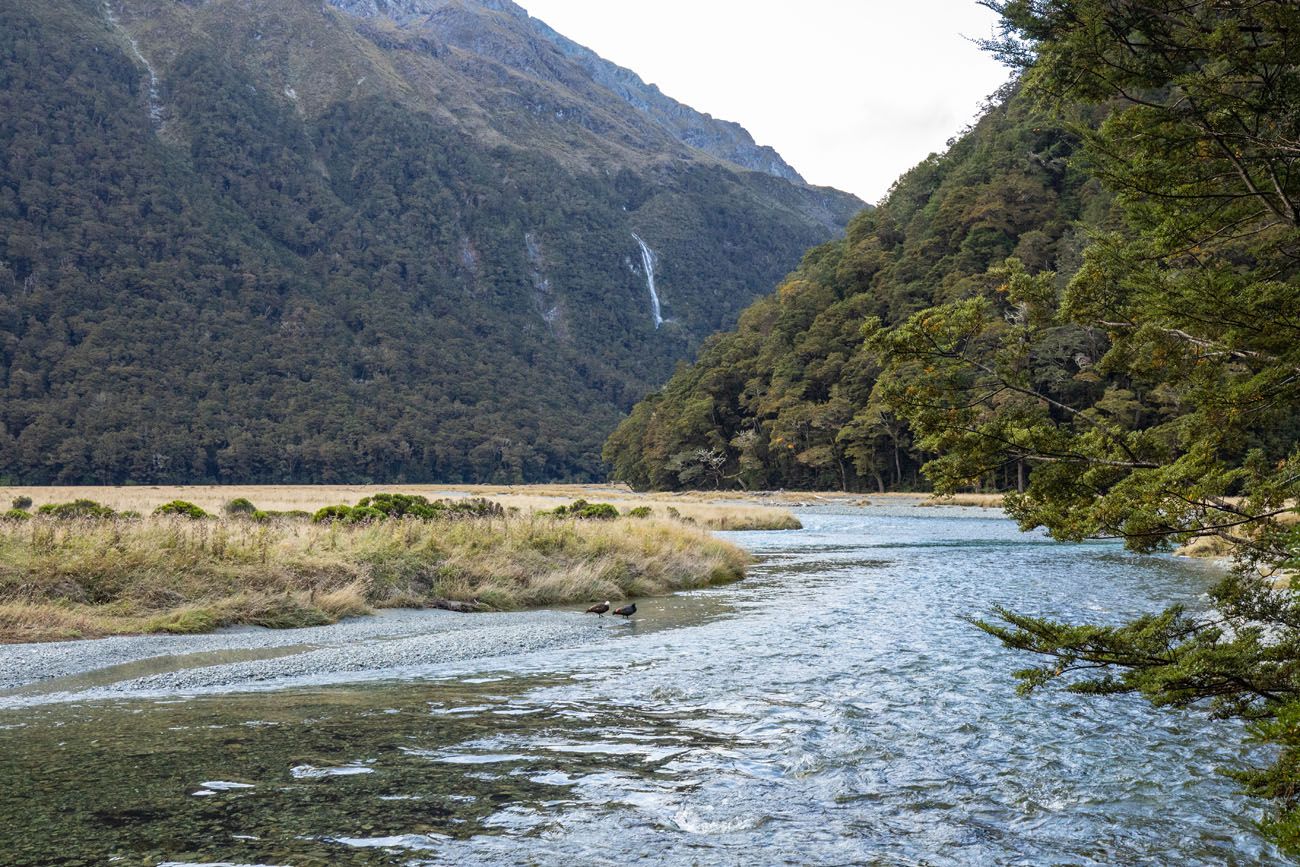 Routeburn River Photo