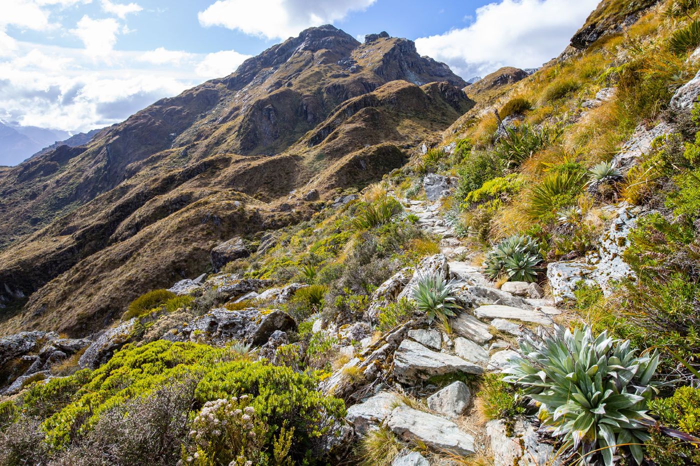 Routeburn Track Trail near Harris Saddle