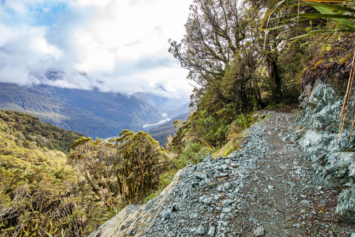 Routeburn Track near Mackenzie