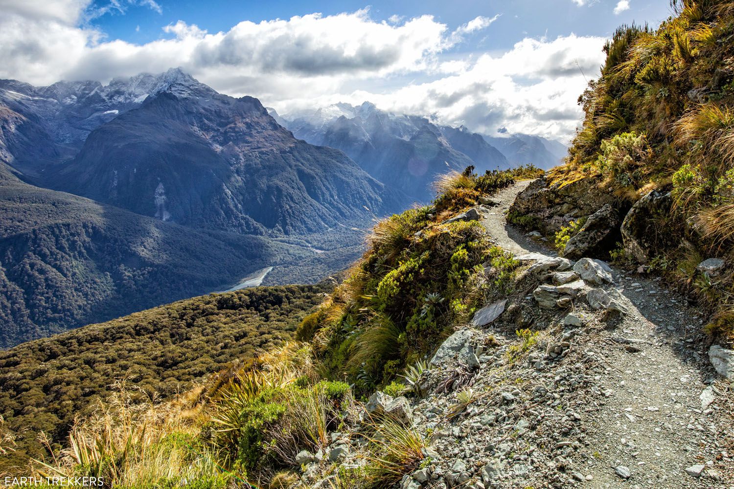 Routeburn Track to Harris Saddle