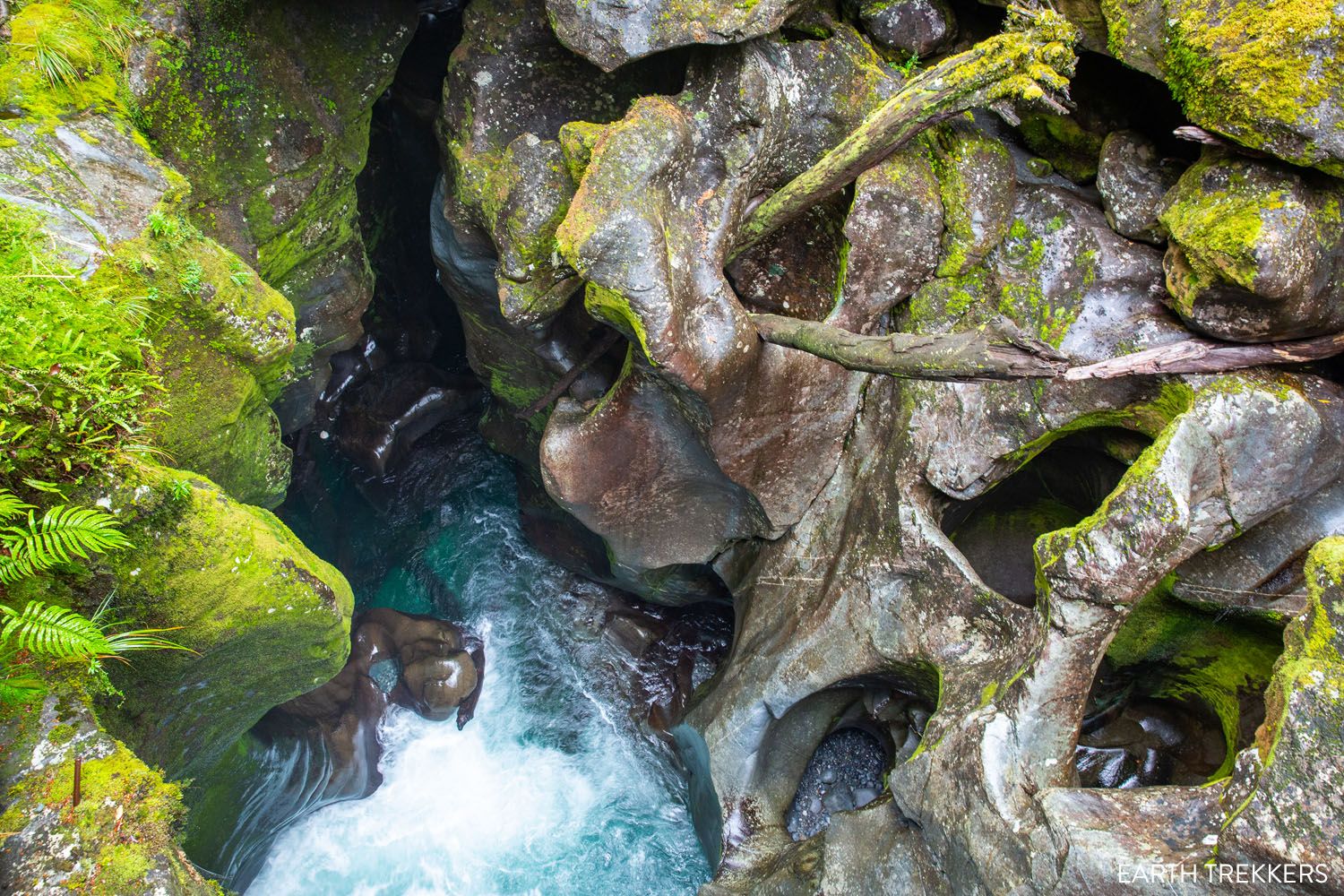 The Chasm New Zealand | Milford Sound Day Trip