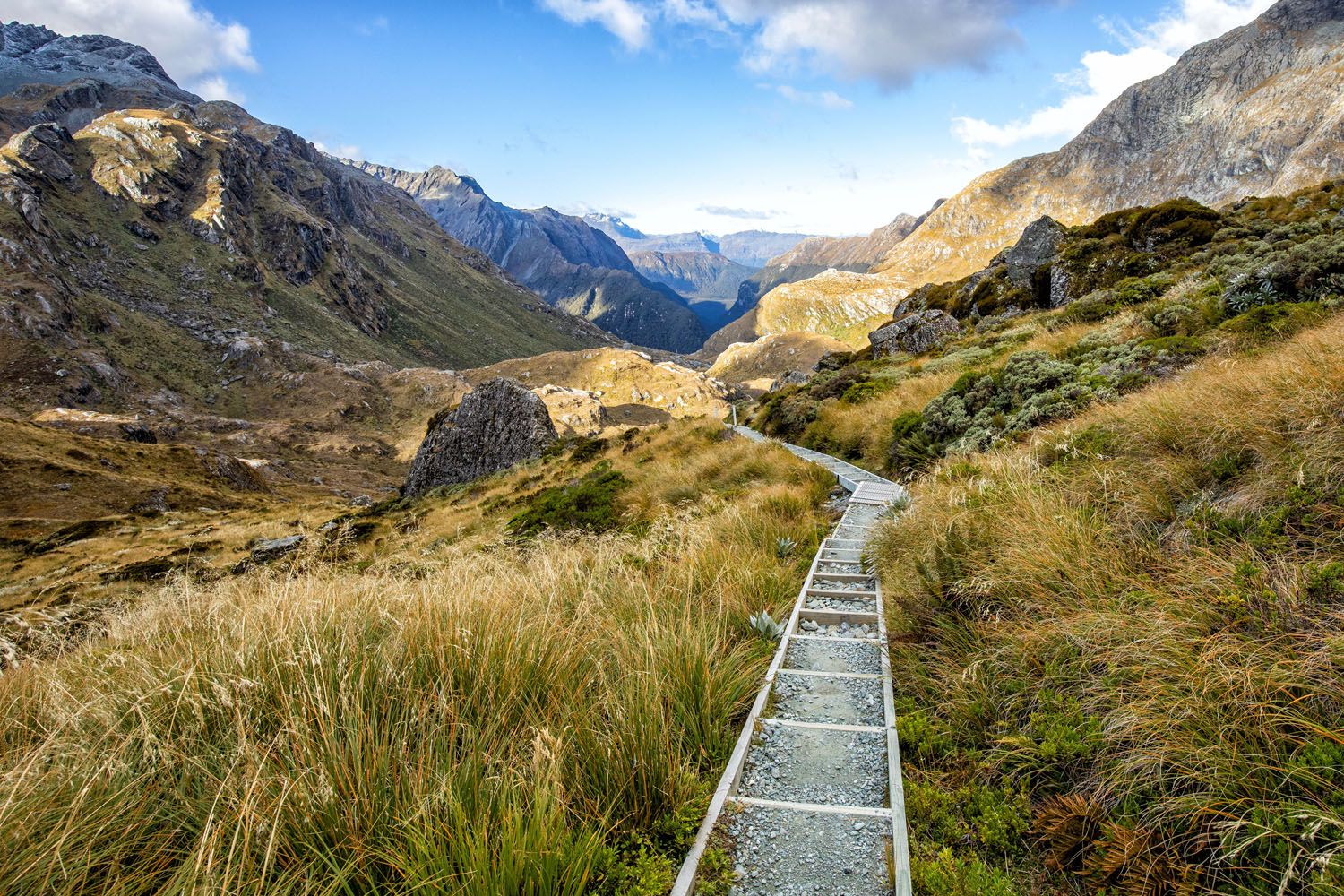 Trail from Harris Saddle