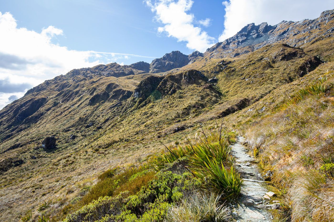 Trail to Harris Saddle