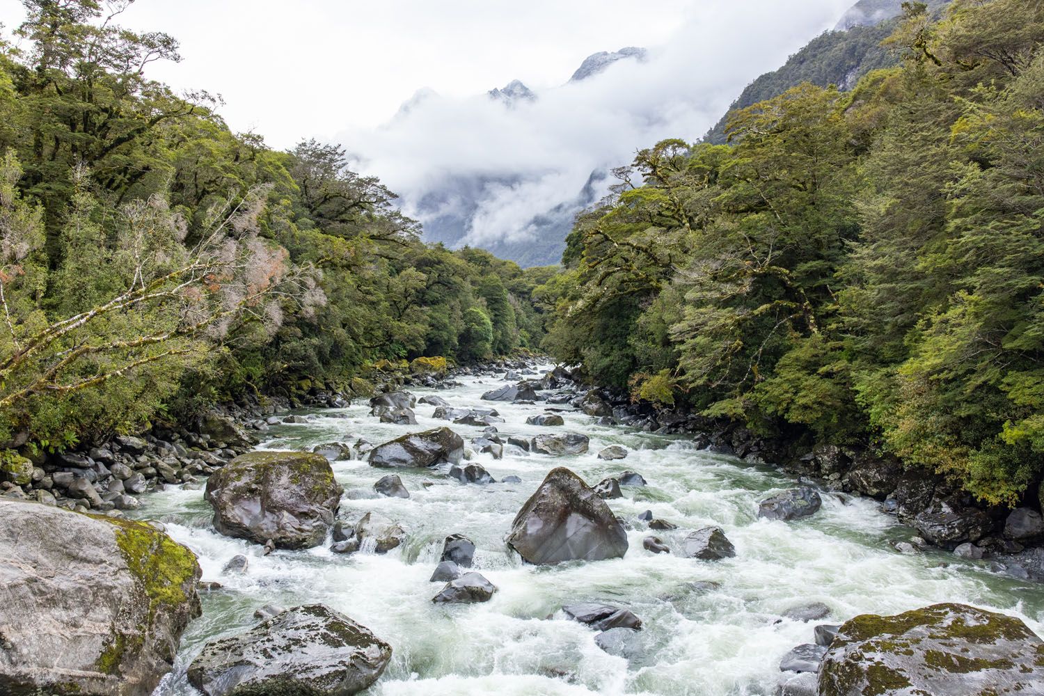 Tutoko River Milford Sound