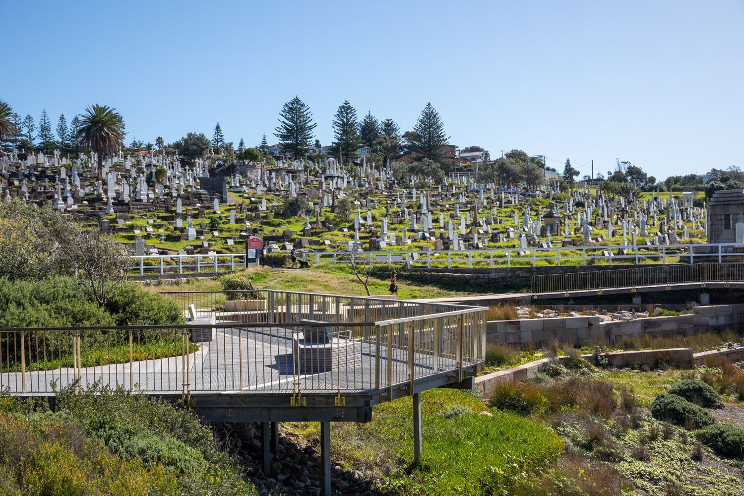 Waverley Cemetery