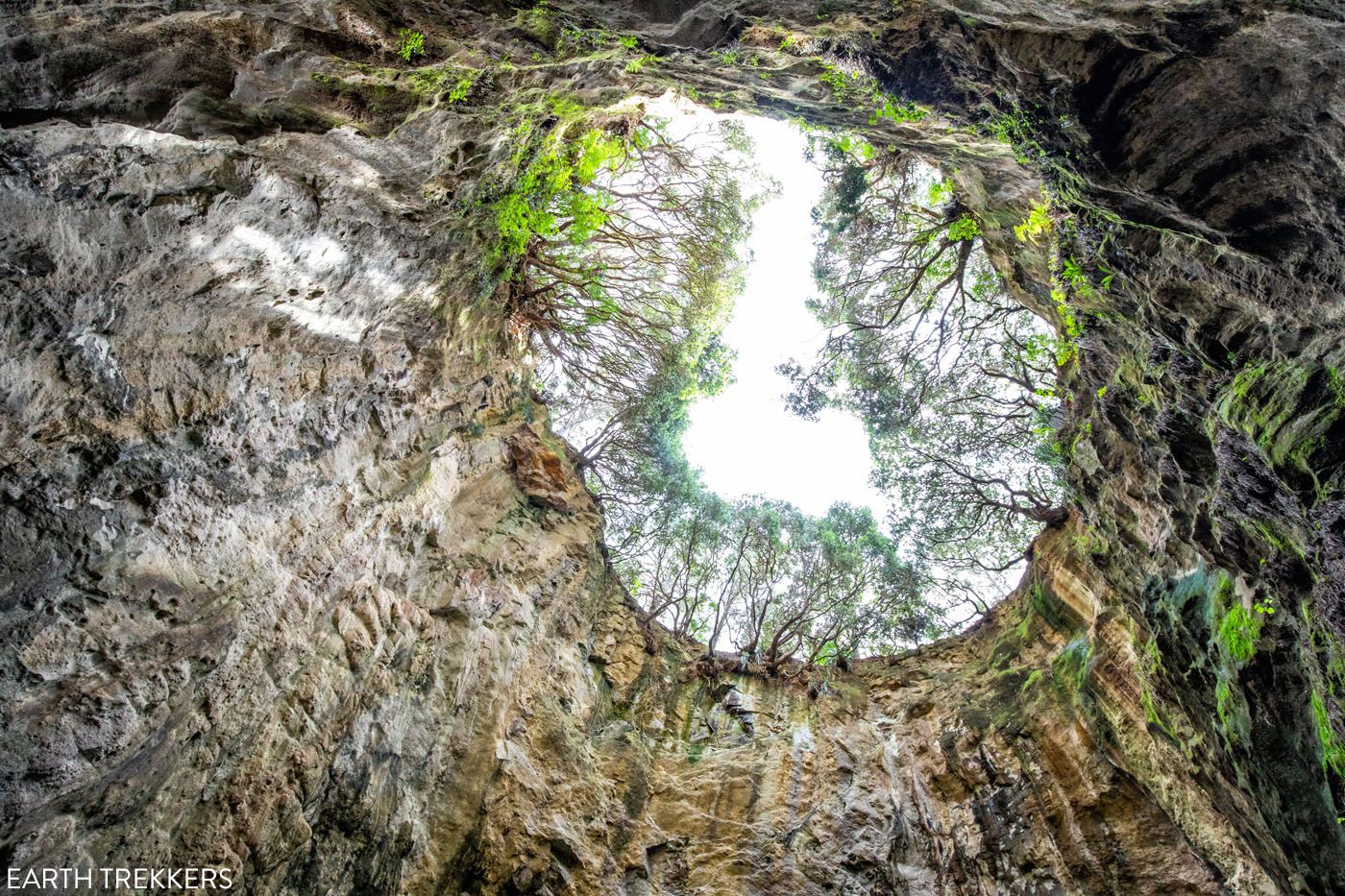 Blowhole Cave New Zealand