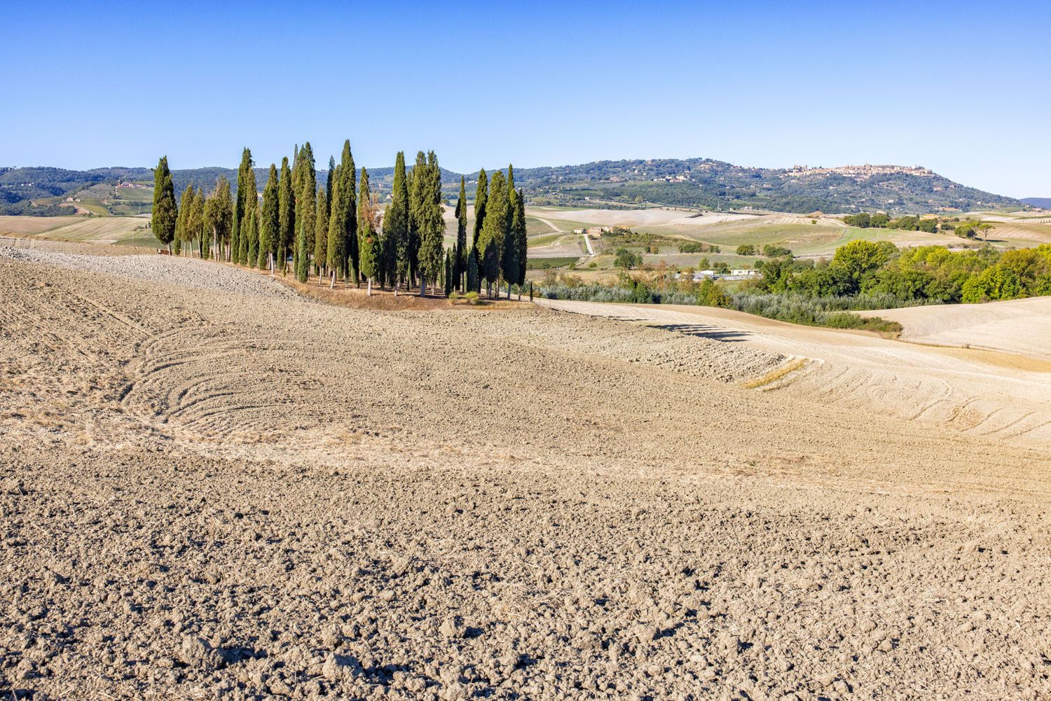 Cipressi di San Quirico d’Orcia