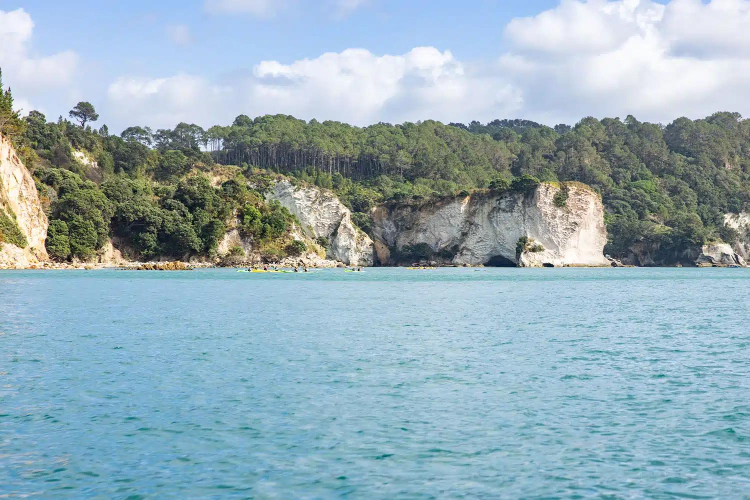 Coromandel Peninsula Boat Tour