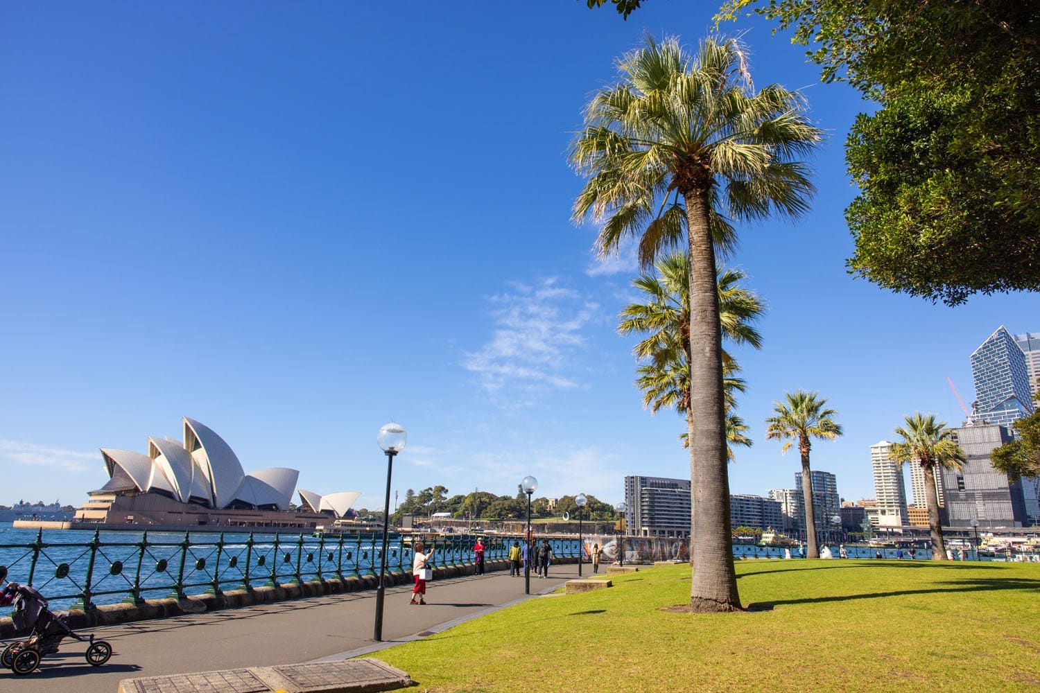 Dawes Point Reserve View