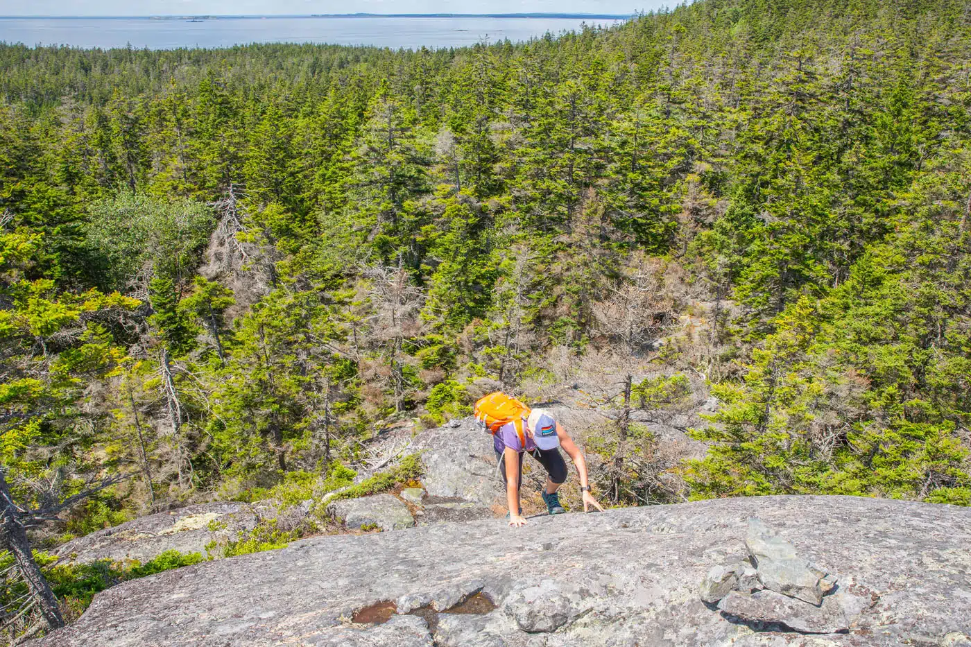 Duck Harbor Mountain Trail