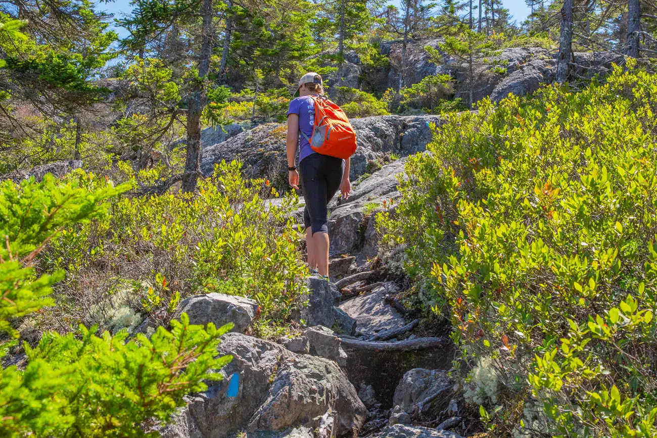 Hiking in Isle au Haut