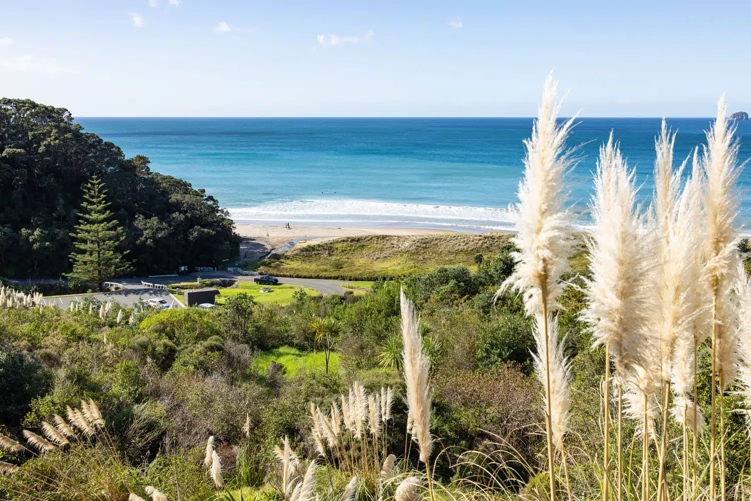 Hot Water Beach Viewpoint