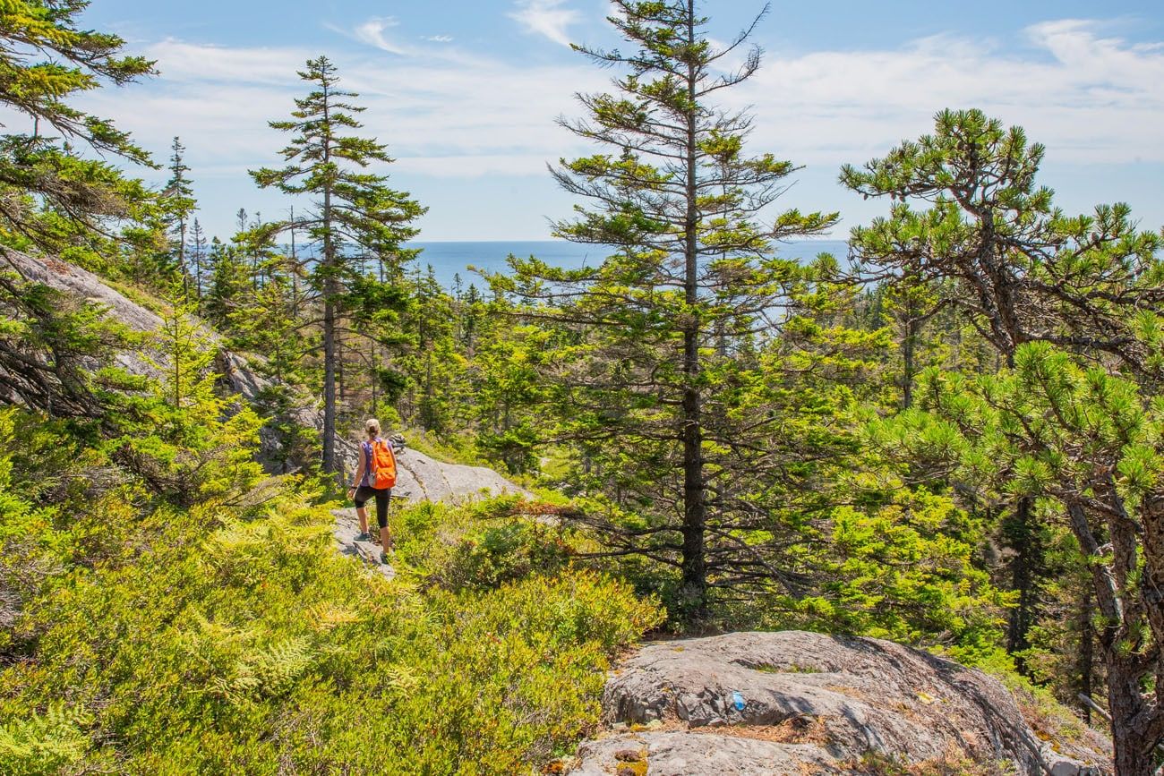 Isle au Haut Hiking Trail