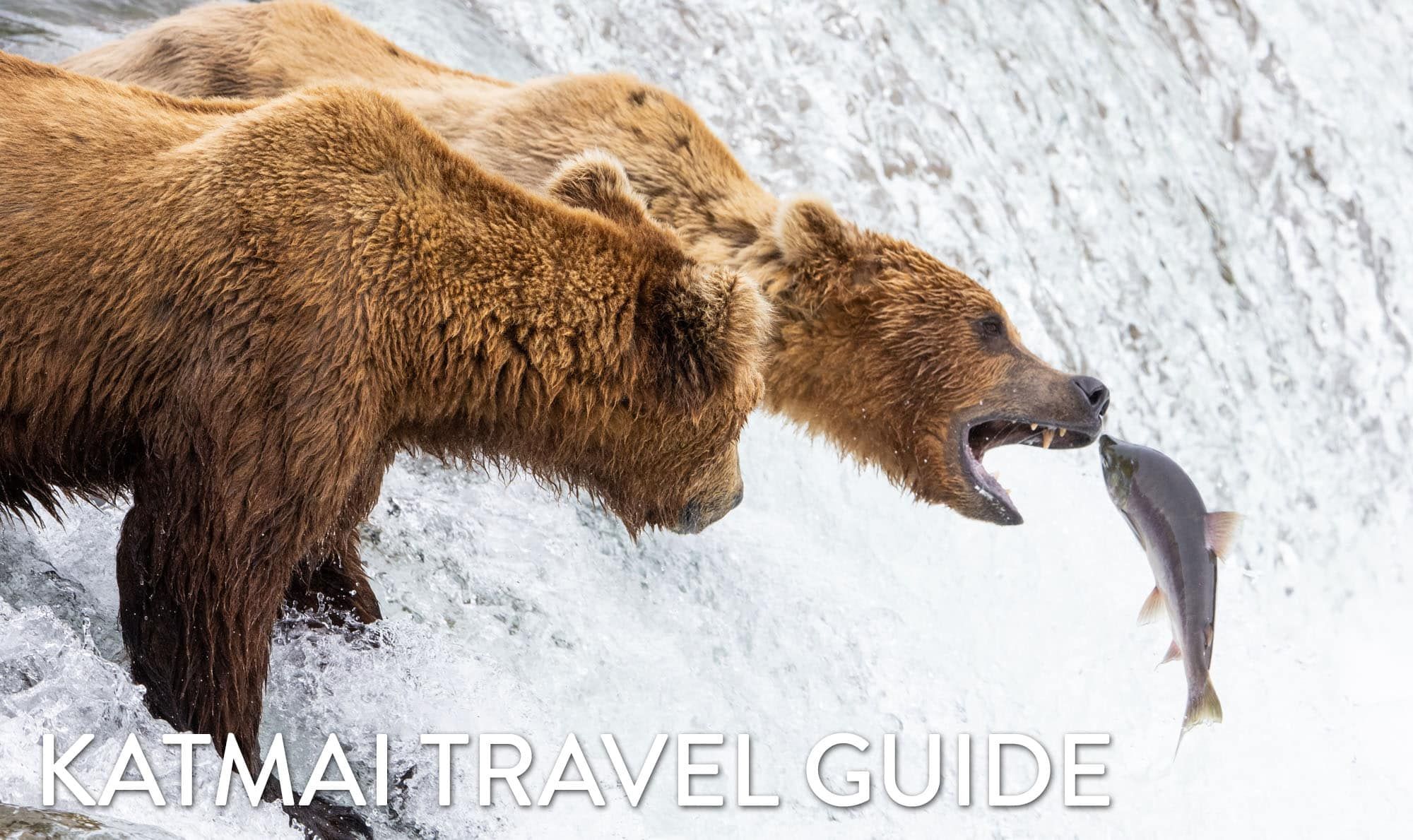 Katmai Travel Guide