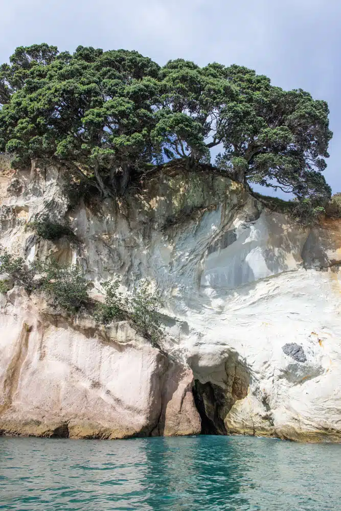 Lovers Cove New Zealand